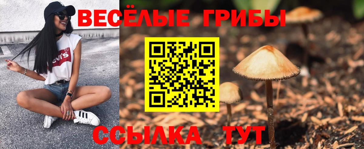Лосино-Петровский  даркнет сайт  Вход с VPN  Псилоцибиновые грибы Psilocybine cubensis 